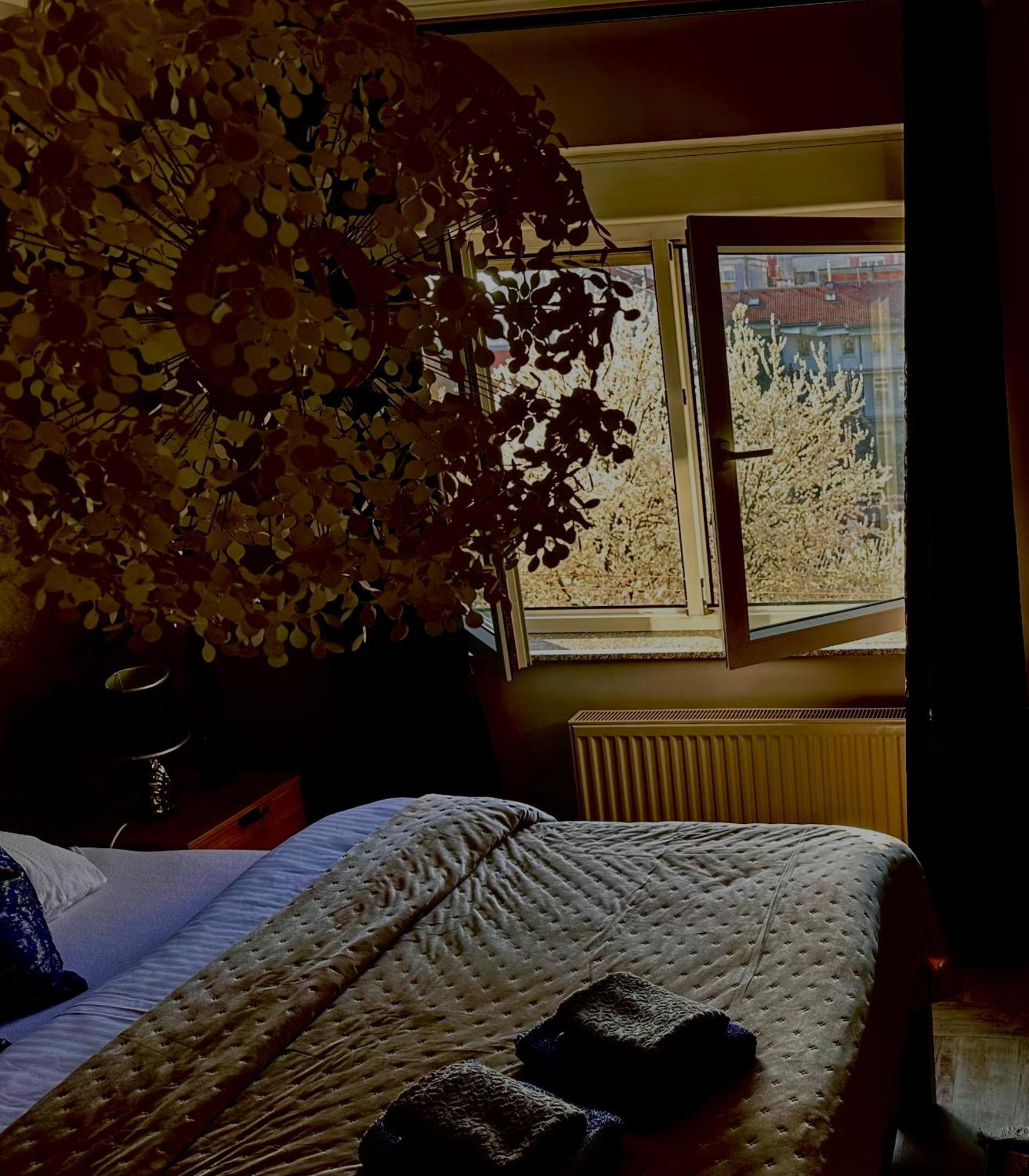 סלאבונסקי ברוד Apartman Pannonica Pin 0-24H מראה חיצוני תמונה