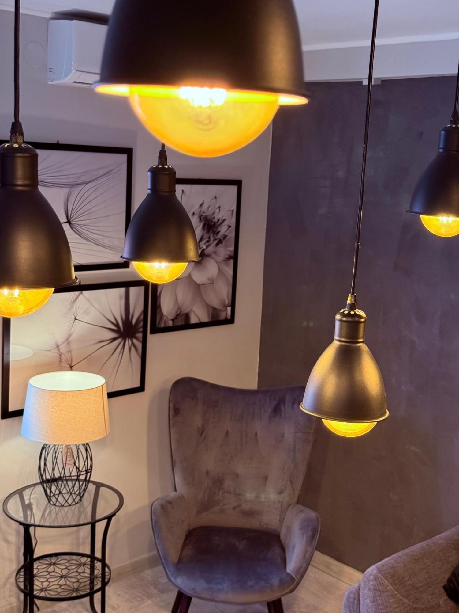 סלאבונסקי ברוד Apartman Pannonica Pin 0-24H מראה חיצוני תמונה